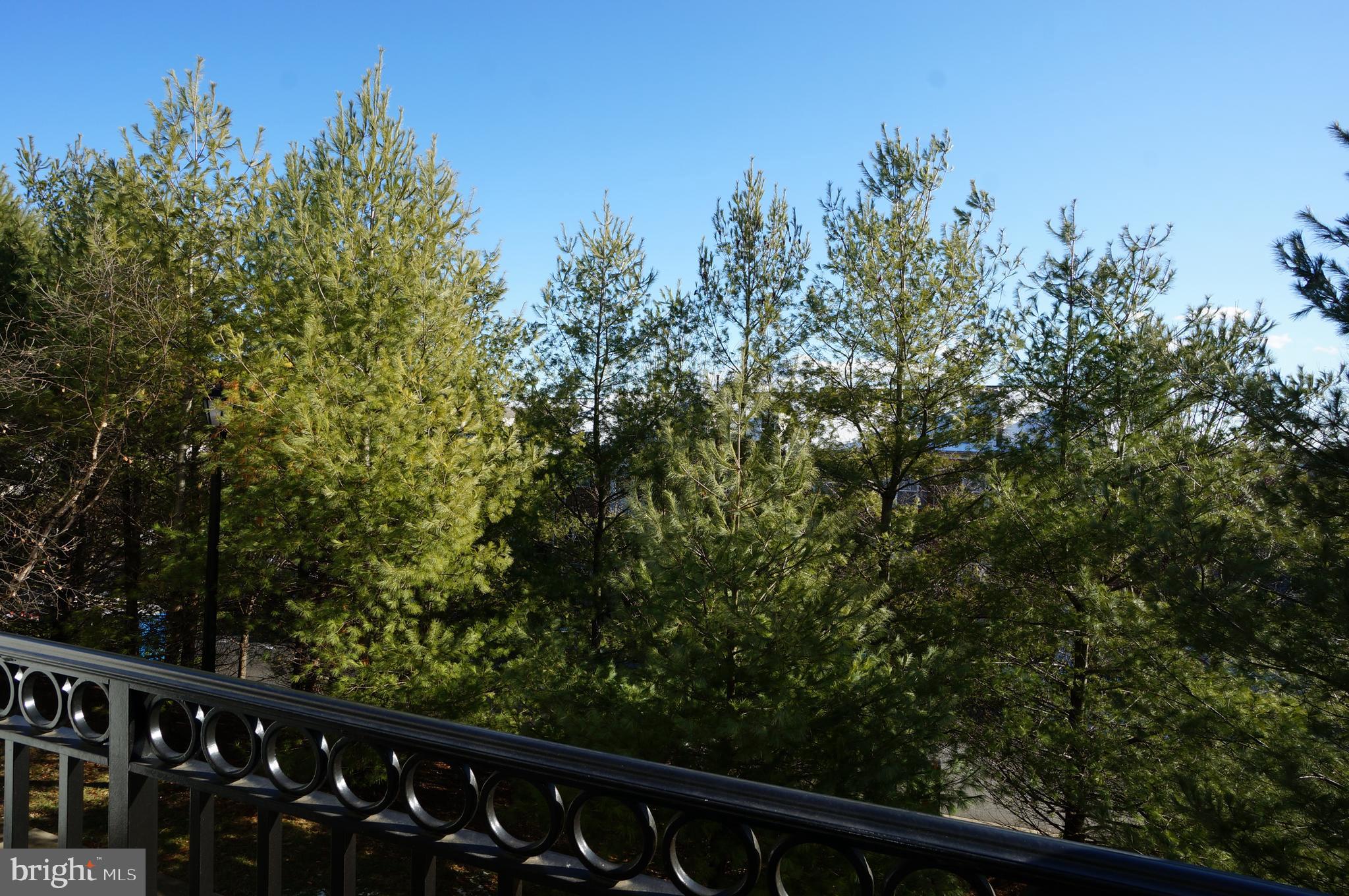 RIVER HILL - Residential Lease