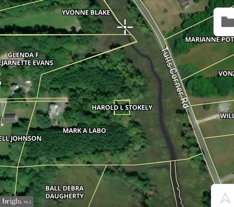 Vacant Land For Sale - Alfred Johnson<br/> Somerset County, MARION STATION, MD 21838
