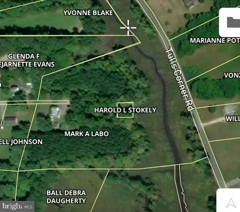 MLS: MDSO2007190