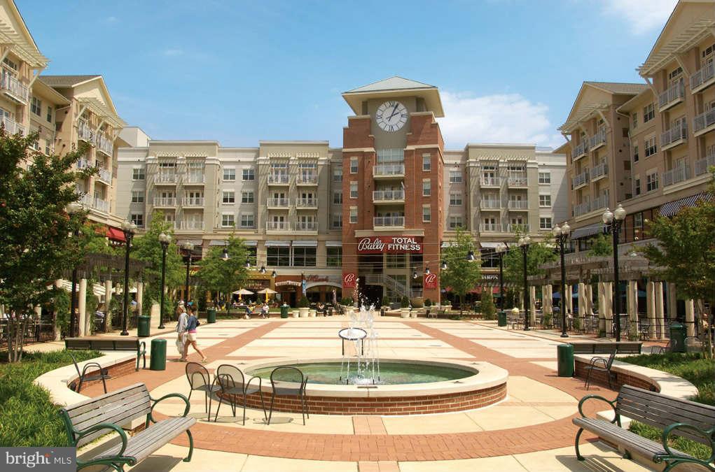 THE REPRESENTATIVE - Residential Lease