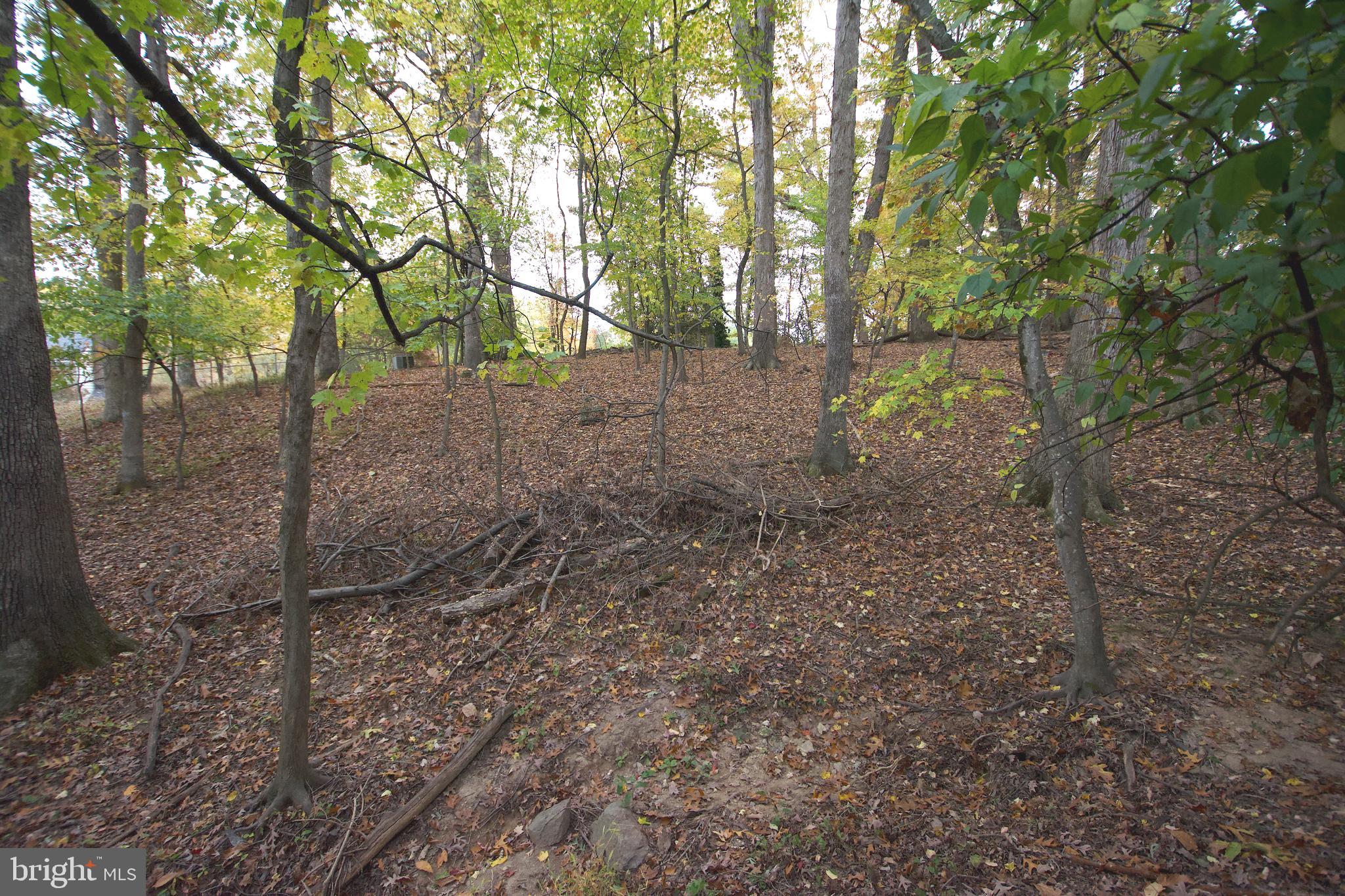 LITTLE VIENNA ESTATES - Residential