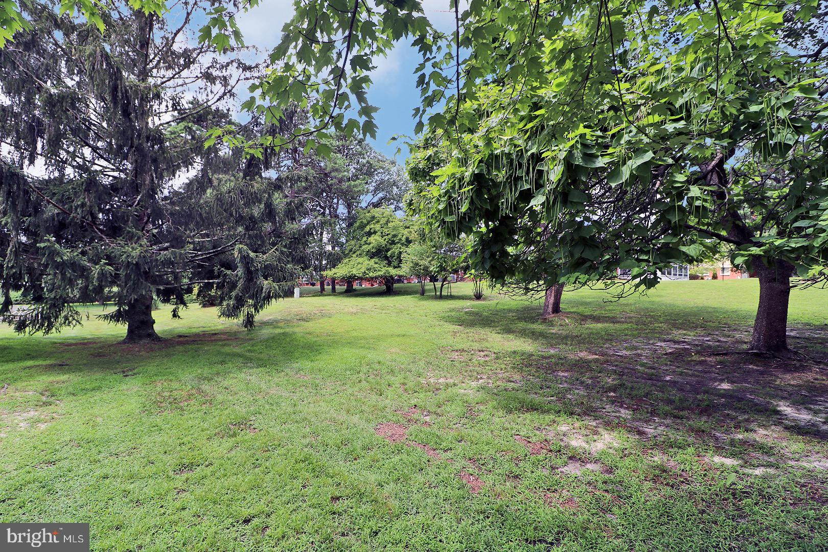 107 COSTITUTION BOULEVARD B