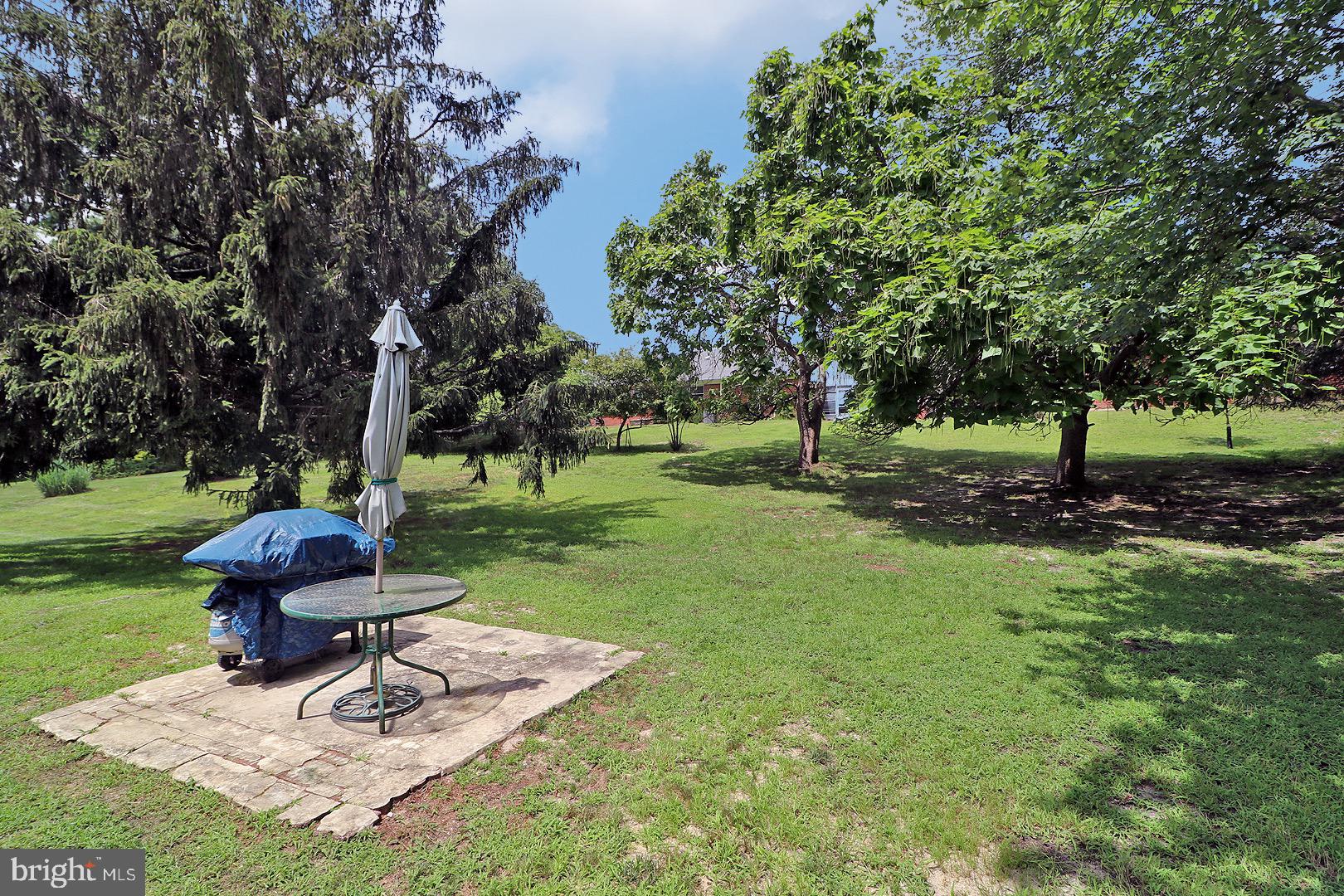 107 COSTITUTION BOULEVARD B