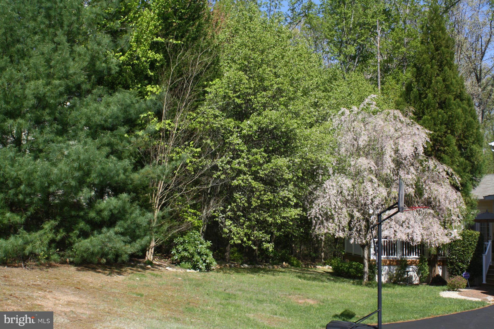 BRANDERMILL - Residential