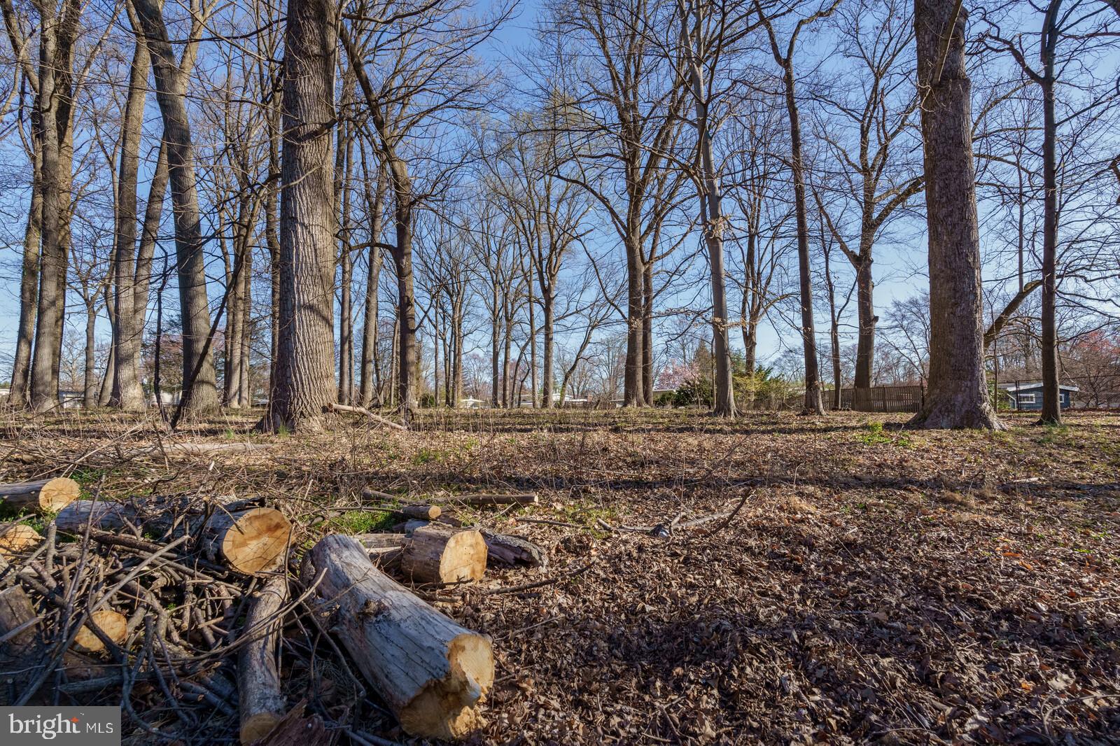 TWINBROOK FOREST - Residential