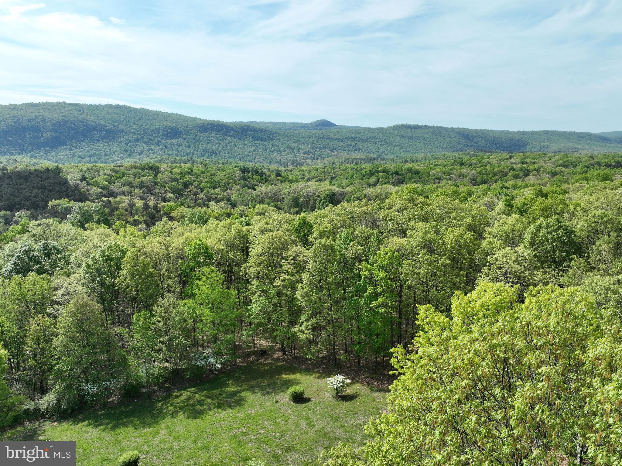 CEDAR GROVE ESTATES - Residential