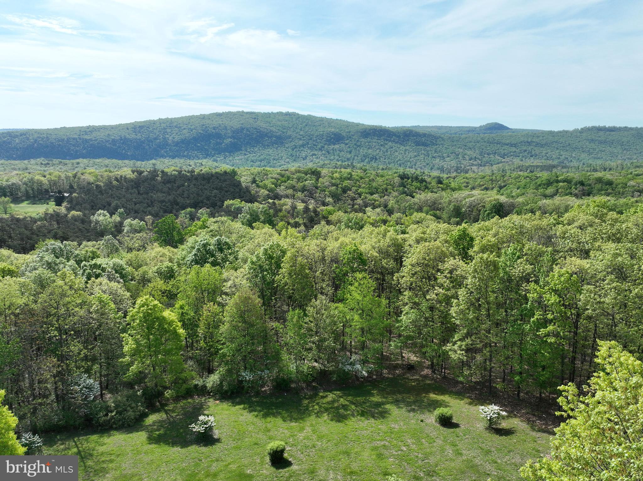 CEDAR GROVE ESTATES - Residential