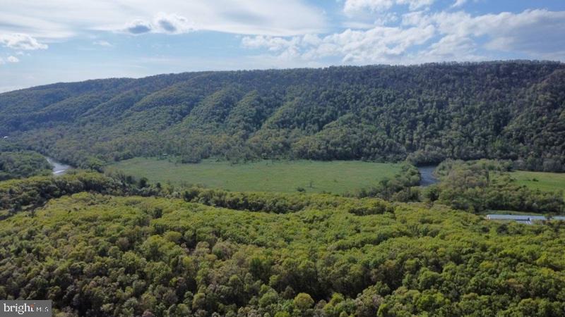 YOUR VERY OWN SPACIOUS 5+ ACRES IN ALMOST HEAVEN WV! CAMPING, MOBILE HOMES AND RECREATIONAL ACTIVITIES ARE ALL WELCOMED! PROPERTY IS LOCATED JUST UNDER 1 MILE TO THE SOUTH BRANCH POTOMAC RIVER PUBLIC ACCESS.CUMBERLAND,MD IS A SHORT DRIVE AWAY! THERE IS NOT AN ACTIVE HOA AND WE'RE NOT SURE IT WAS EVER ACTIVE.