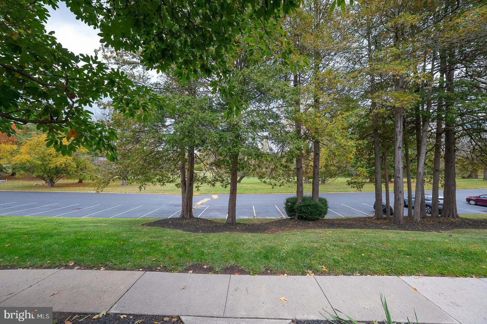 Norristown, Pennsylvania 19403, United States, 3 Bedrooms Bedrooms, ,3 BathroomsBathrooms,Residential,Coming Soon,230765