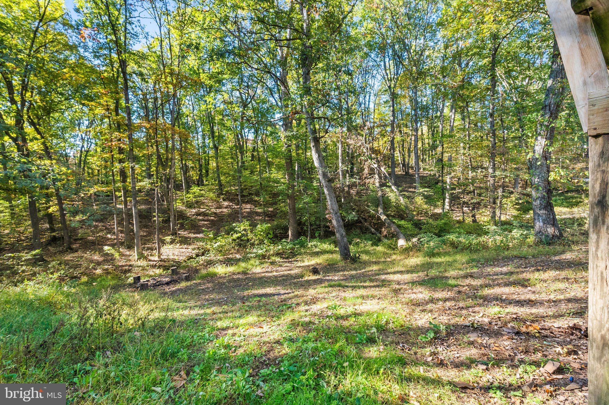 PIN OAK - Residential