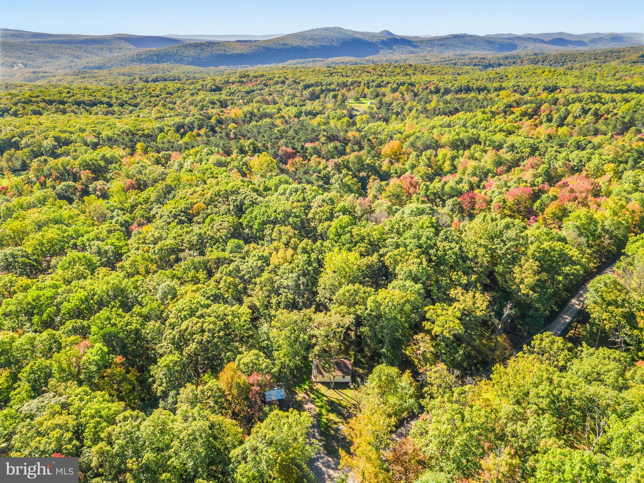 PIN OAK - Residential