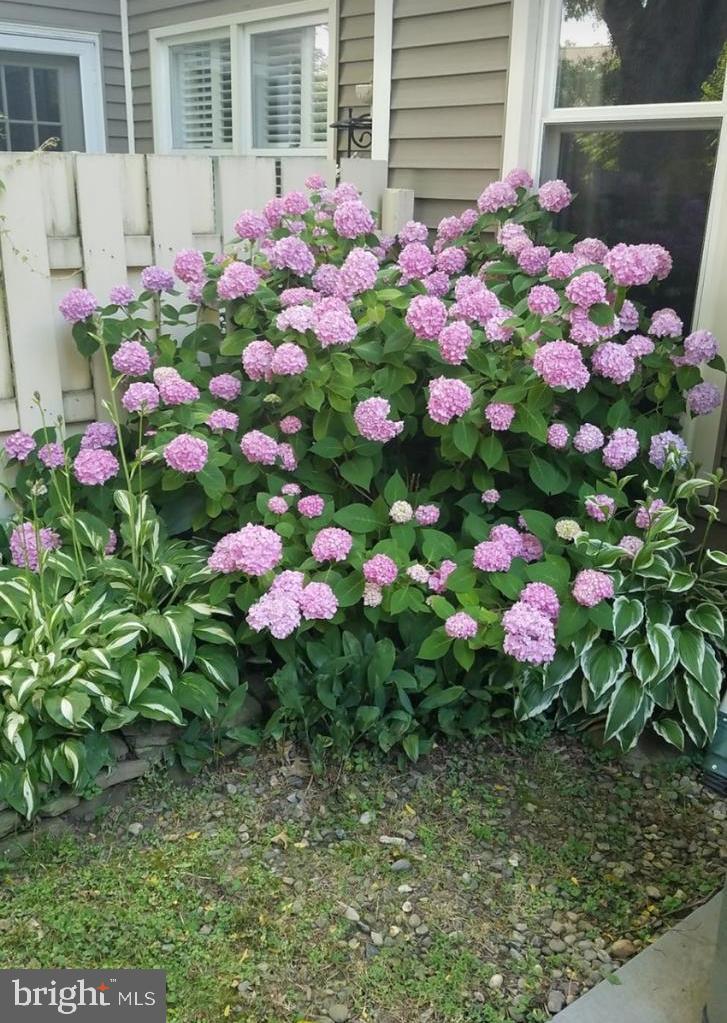 TANGLEWOOD - Residential