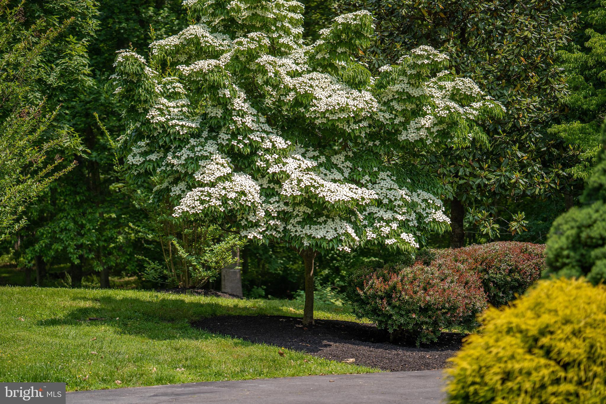 PHILOMONT - Residential