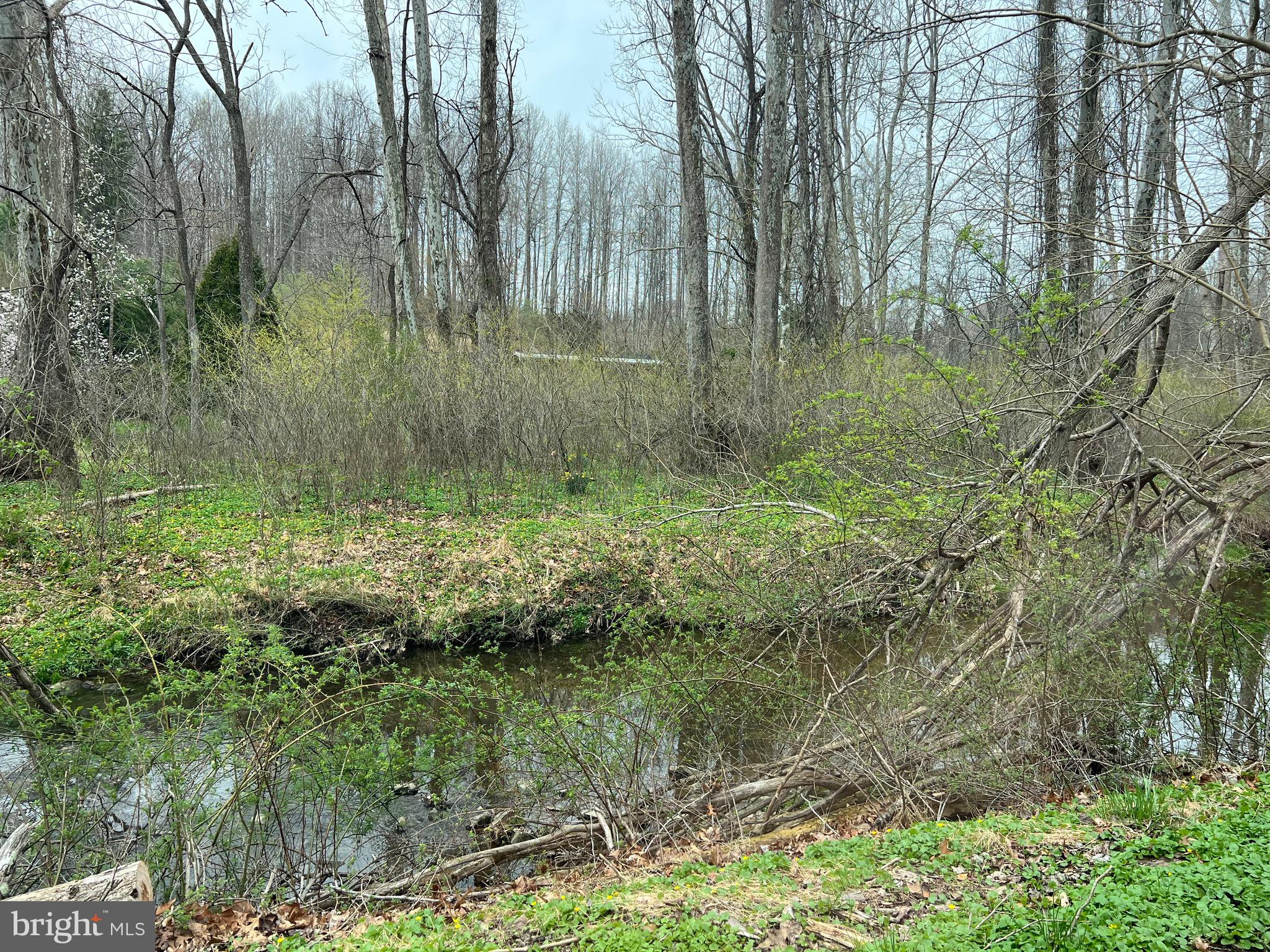 DOGWOOD ROAD