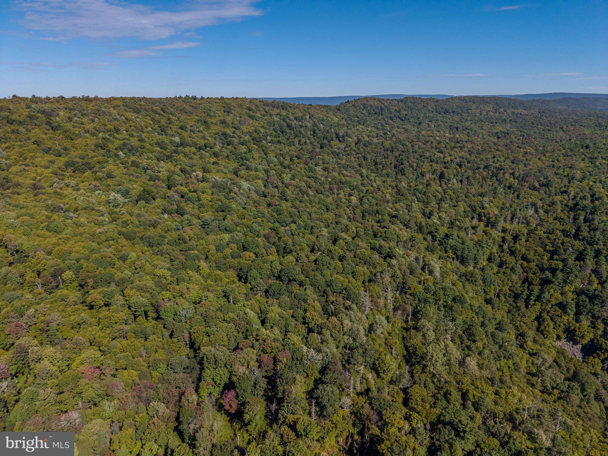 00 COPELAND SPRING TRL PARCEL 2