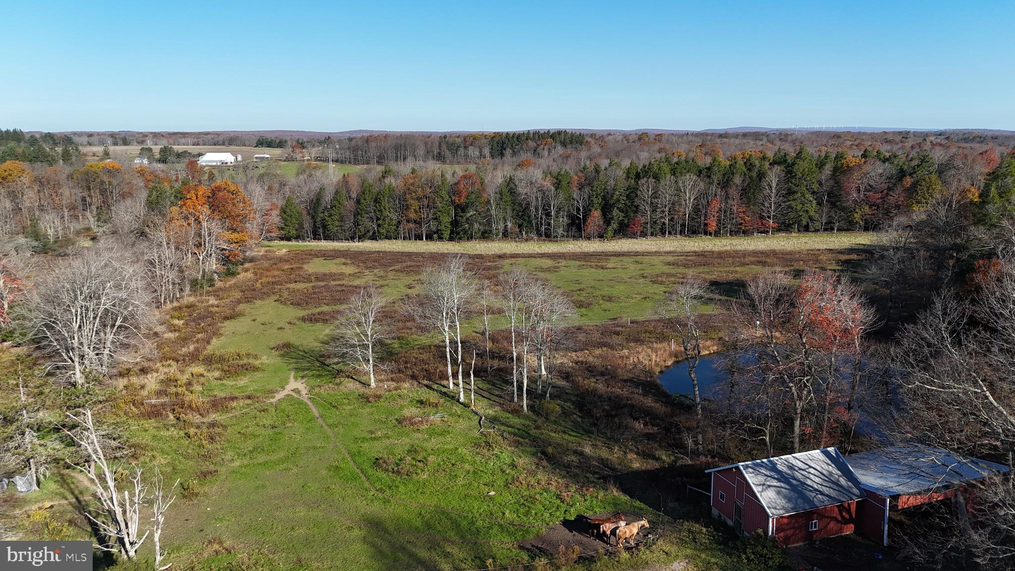 NONE AVAILABLE - Farm