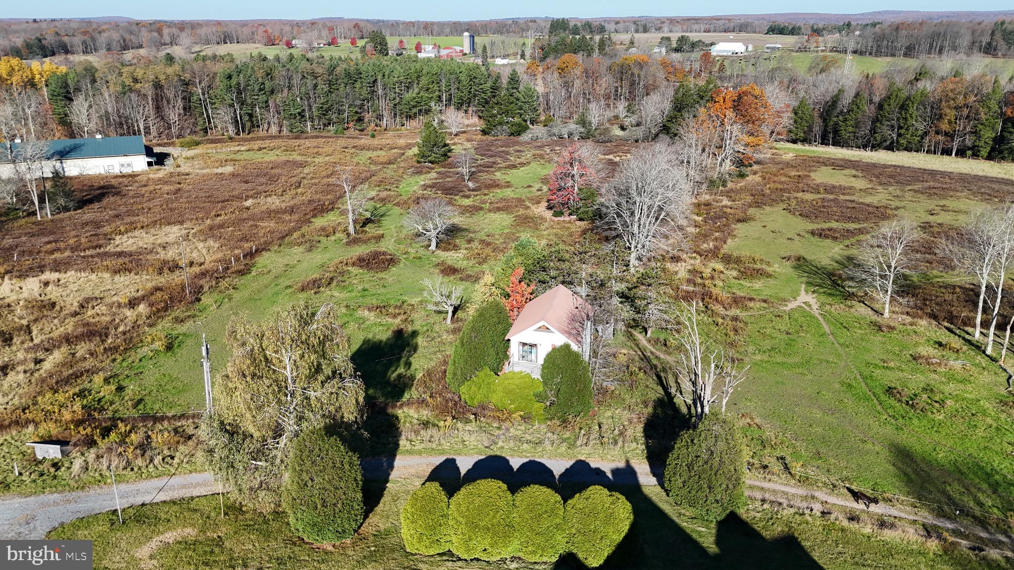 NONE AVAILABLE - Farm