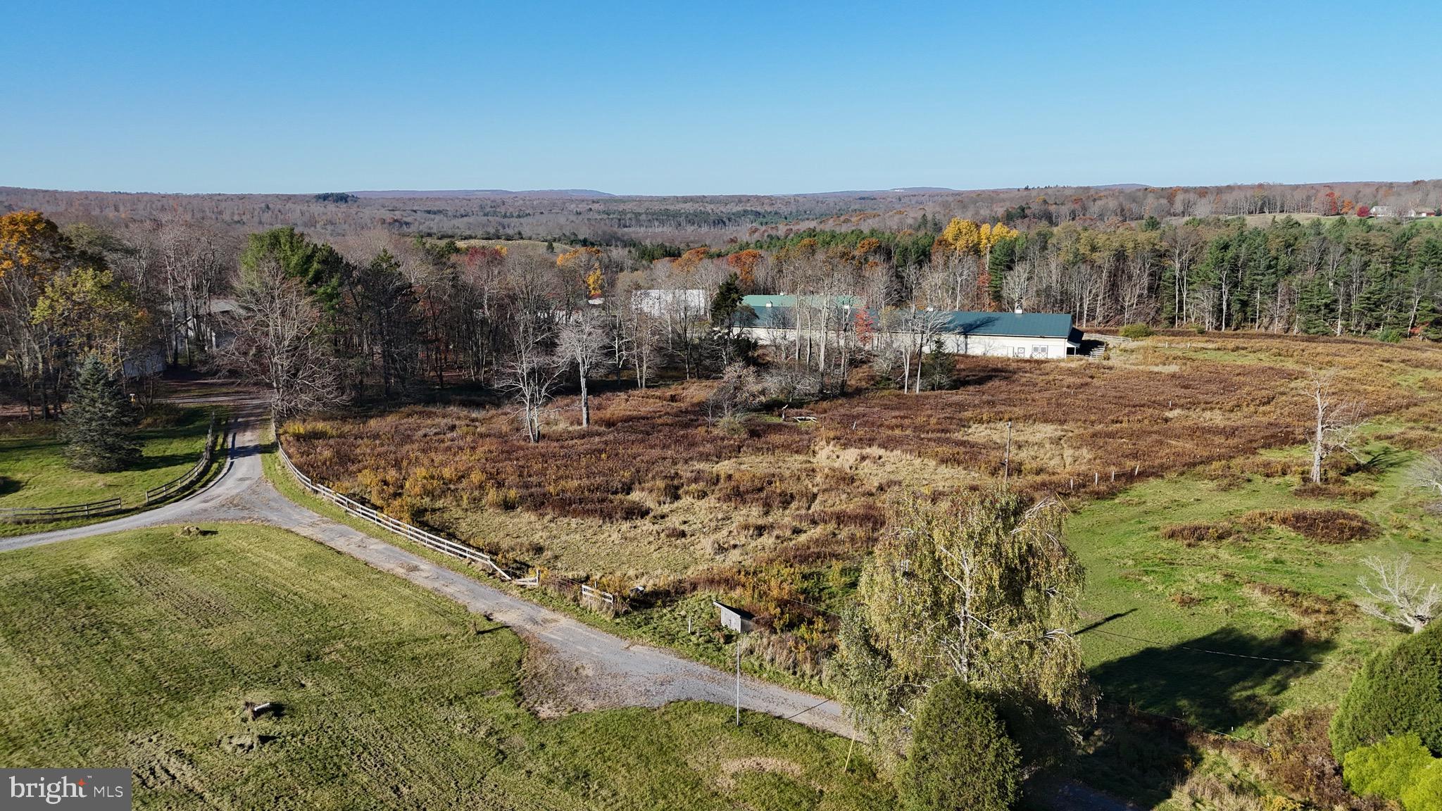 NONE AVAILABLE - Farm