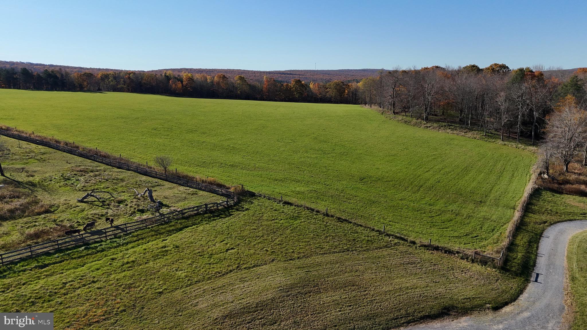 NONE AVAILABLE - Farm