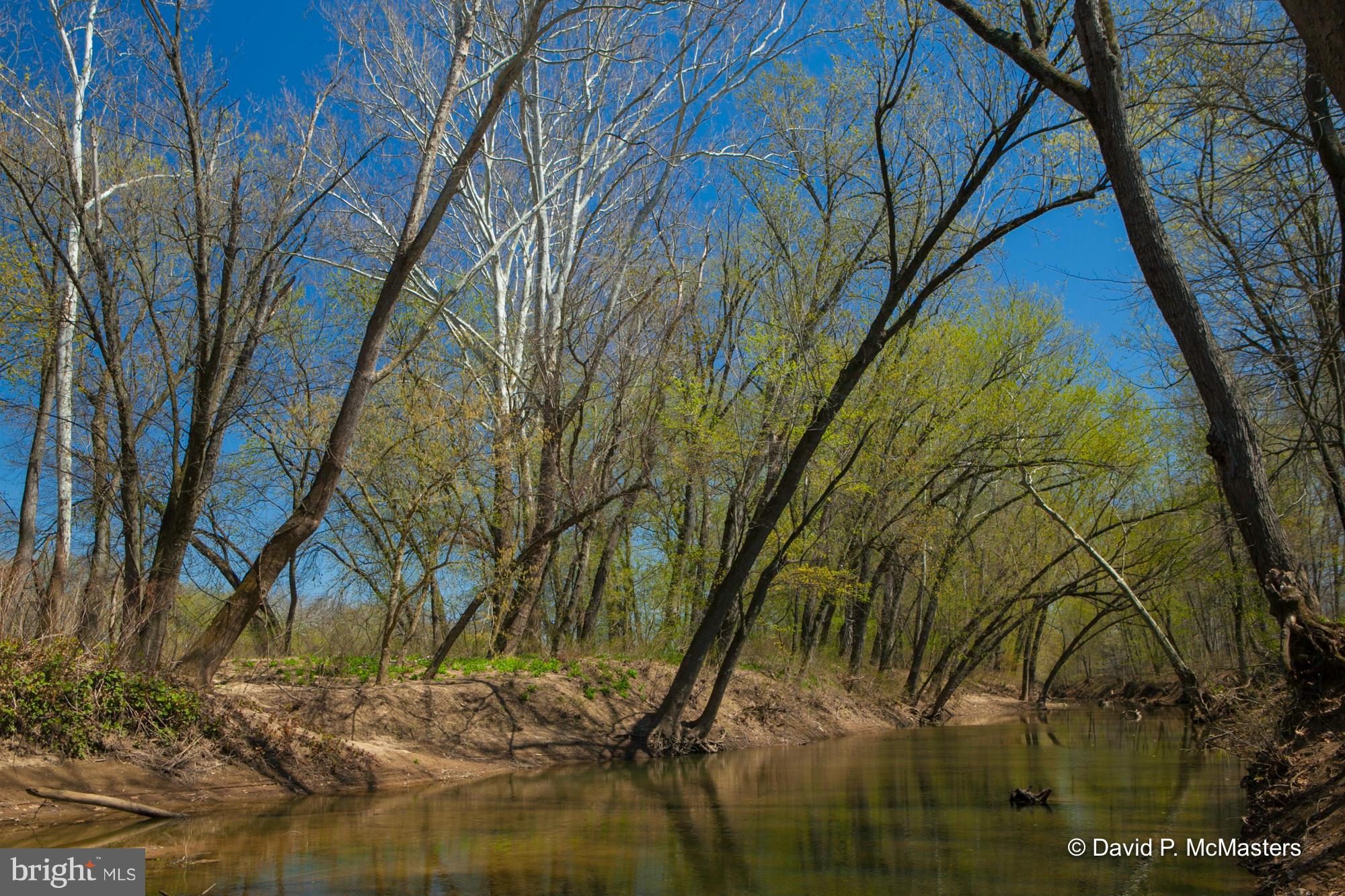 ORCHARD ON THE POTOMAC - Residential
