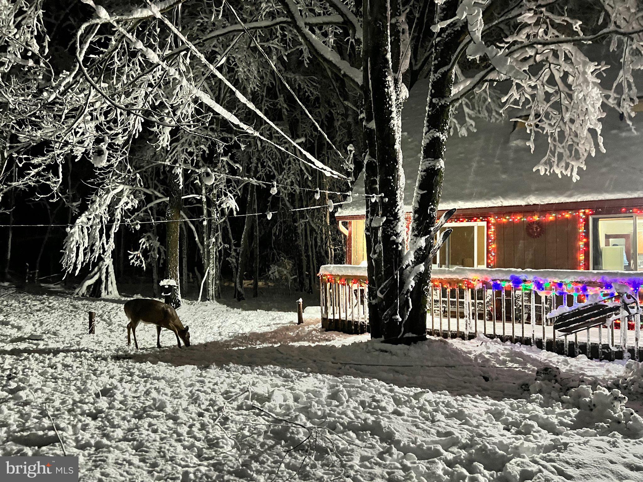 BRIER CREST WOODS - Residential