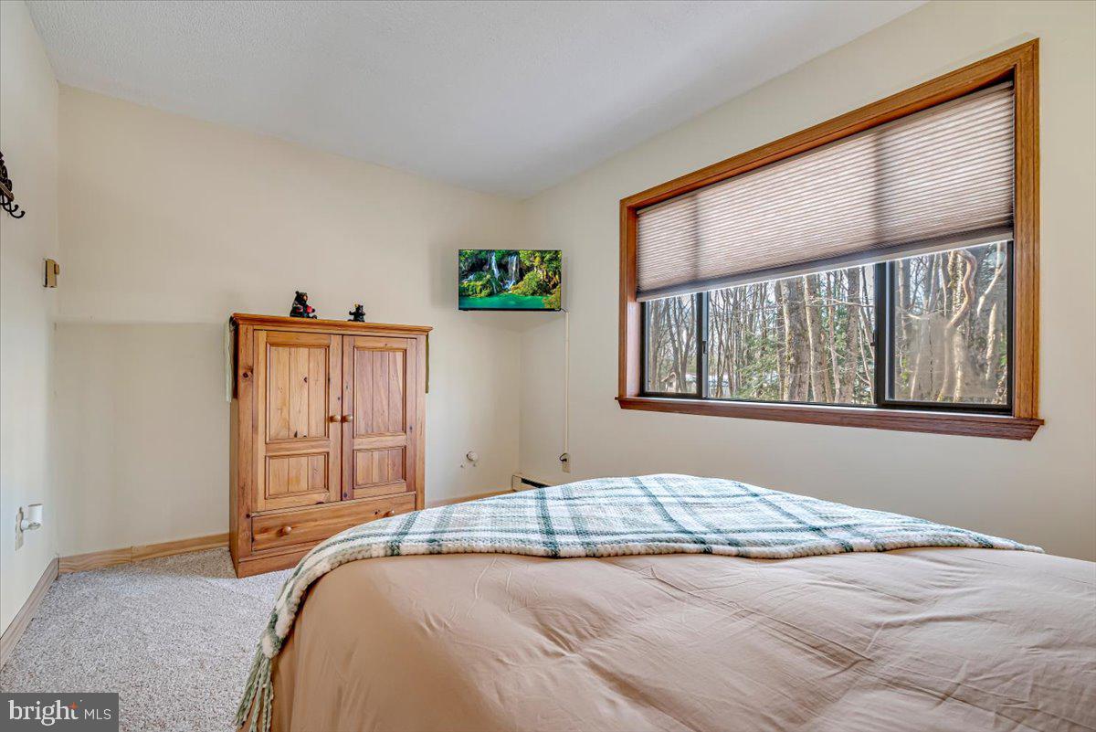 BRIER CREST WOODS - Residential