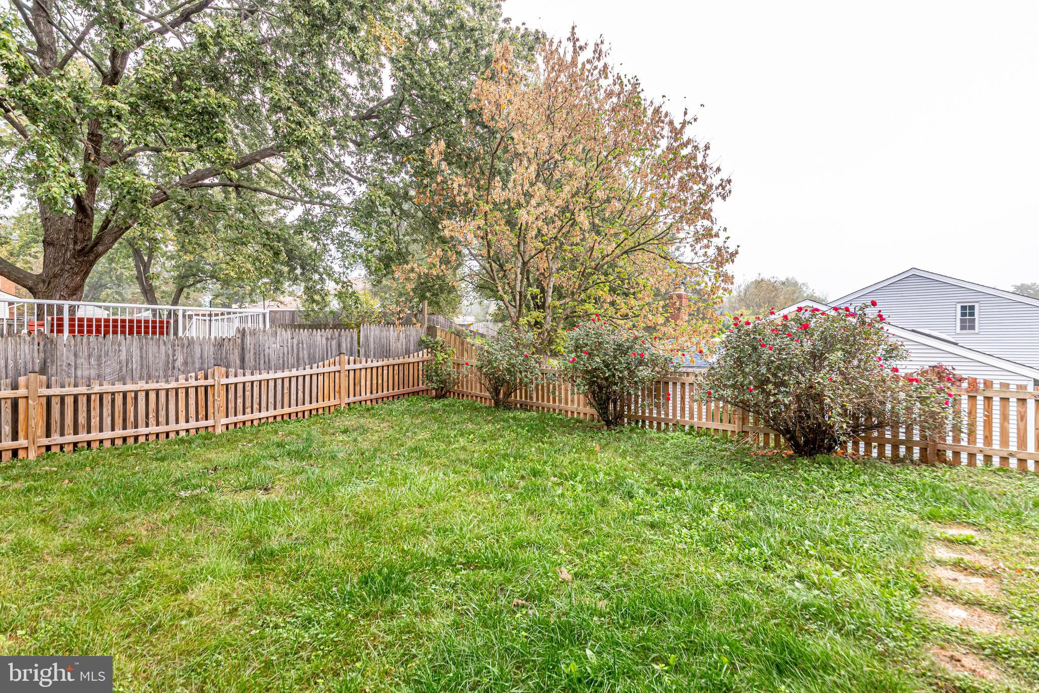 OAK TREE - Residential Lease