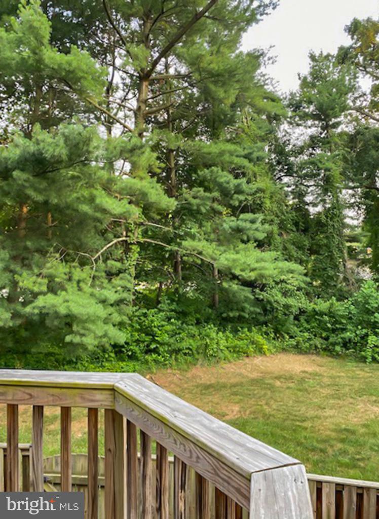 SPRINGFIELD OAKS - Residential Lease