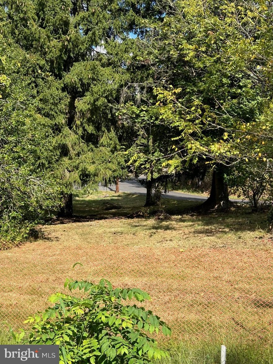 Prime  1- Acre Lot in Scenic New Hope. Ready for your Dream Home!  Nestled in the heart of beautiful New Hope, this picturesque 1-acre lot offers the perfect canvas for your dream home. Surrounded by lush, mature trees, this serene property provides both privacy and charm in an ideal location.  
Equipped with a built-in septic system,  a temporary electric poll with meter in site ready for builders. This land is ready for development, saving you time and effort as you bring your vision to life. Whether you're dreaming of a modern retreat or a classic country estate, this lot is the perfect foundation for brand-new plans. 
Enjoy the best of New Hope’s natural beauty while being conveniently close to charming shops, fine dining, and New Hope Solebury schools. Don’t miss this opportunity to create your own sanctuary in one of Pennsylvania’s most desirable areas!   New Hope Solebury written  about in New York times and local papers. Please note there is no house on the property just part of foundation that can be filled in or removed.  One minute from Peddler's Village in Lahaska ,  3 minutes to Historic New Hope. Explore Lambertville and historic parks, Delaware Canal tow-path and Historic River. Plenty of entertainment with Restaurants , Antiques and Gost tours during Halloween and Bucks County Playhouse.
Please do your due diligence with any questions regarding building a house  with 
Solebury  township. Under no circumstances is anyone to enter or attempt to enter the property without a Realtor.