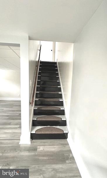 BAYVIEW - Residential Lease