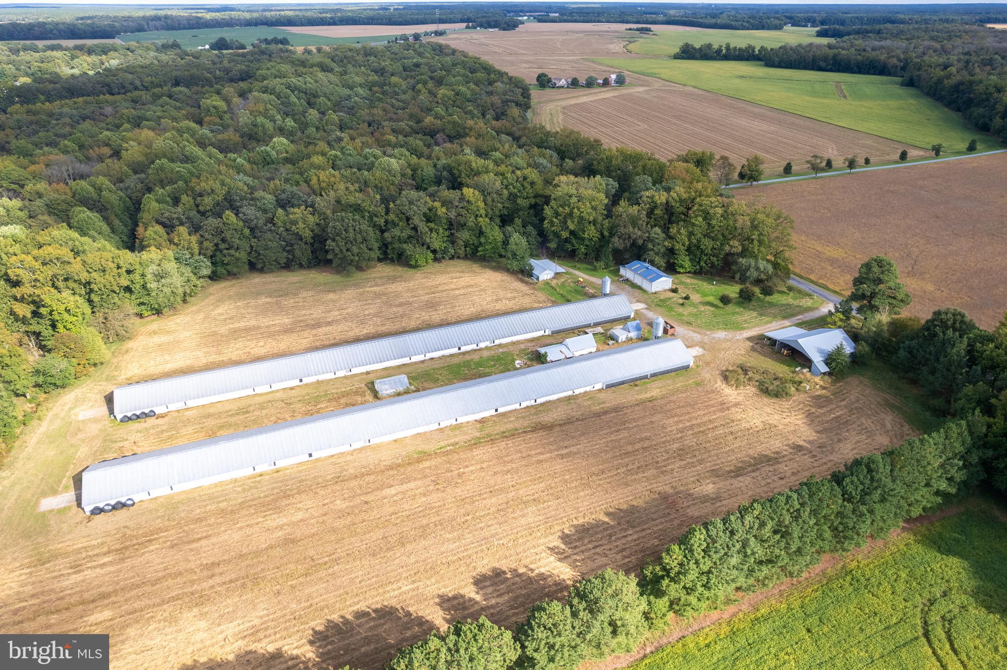 NONE AVAILABLE - Farm