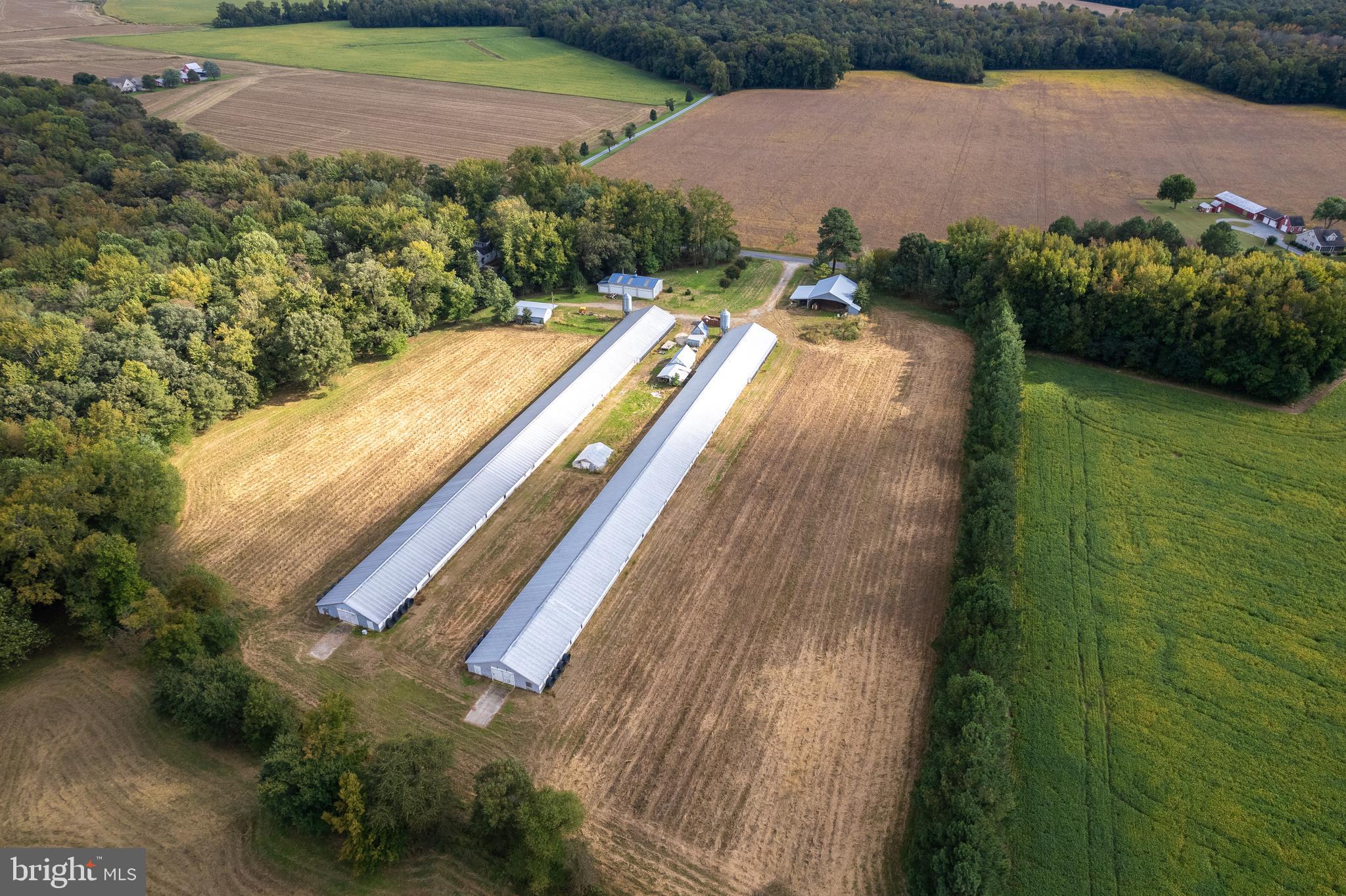 NONE AVAILABLE - Farm