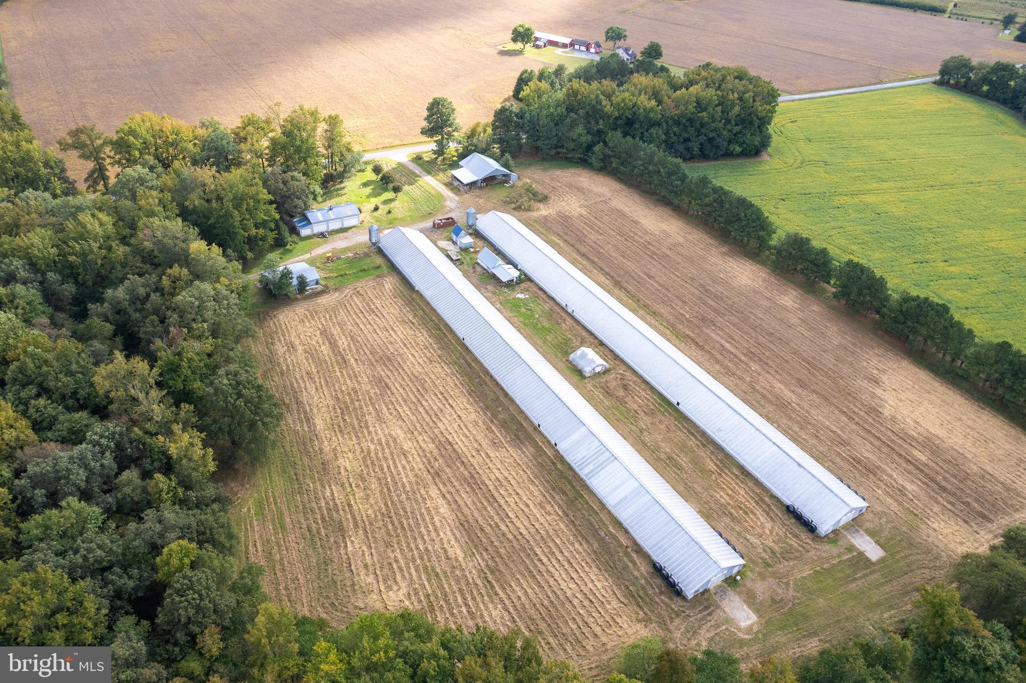 NONE AVAILABLE - Farm