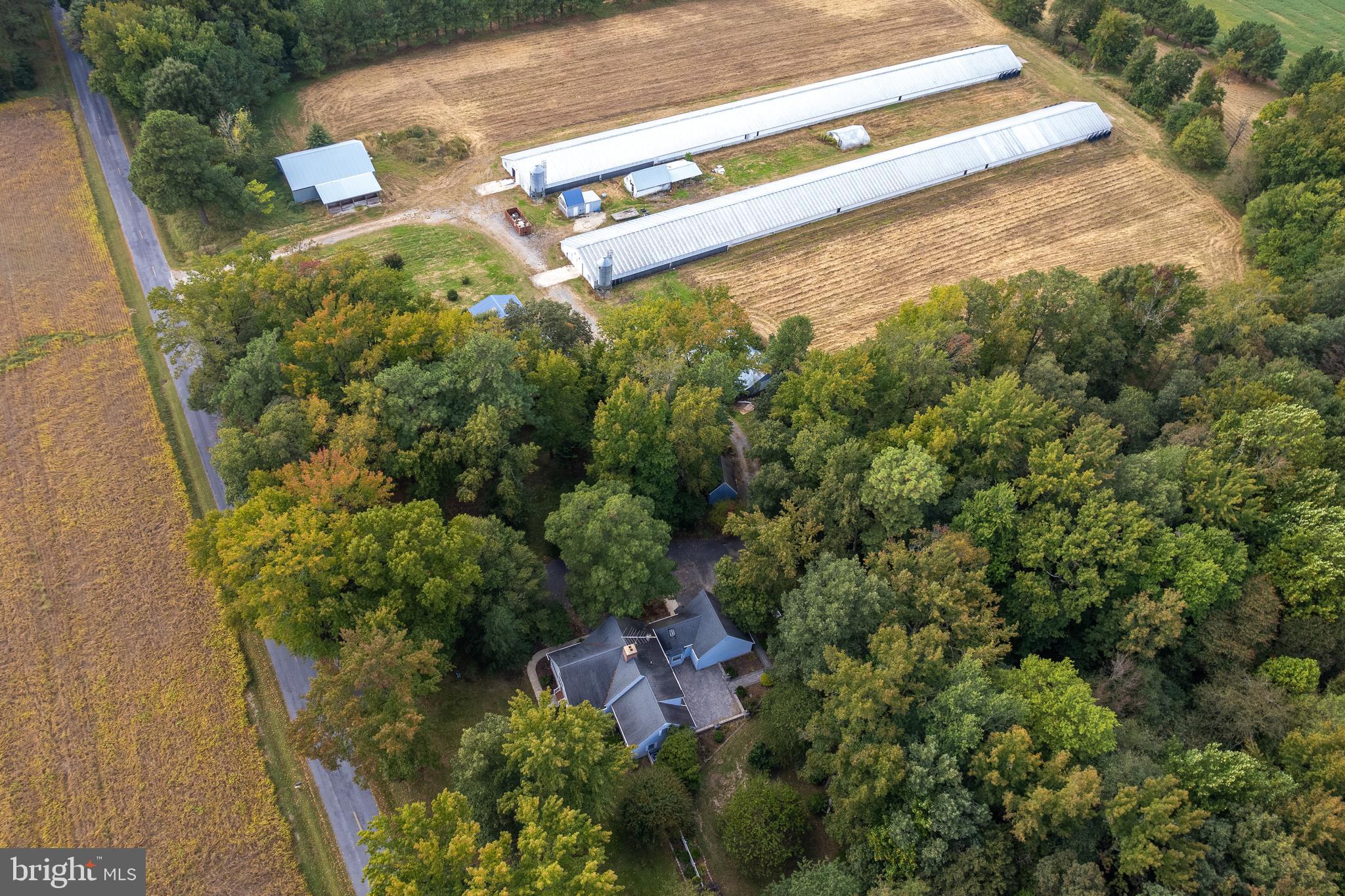 NONE AVAILABLE - Farm