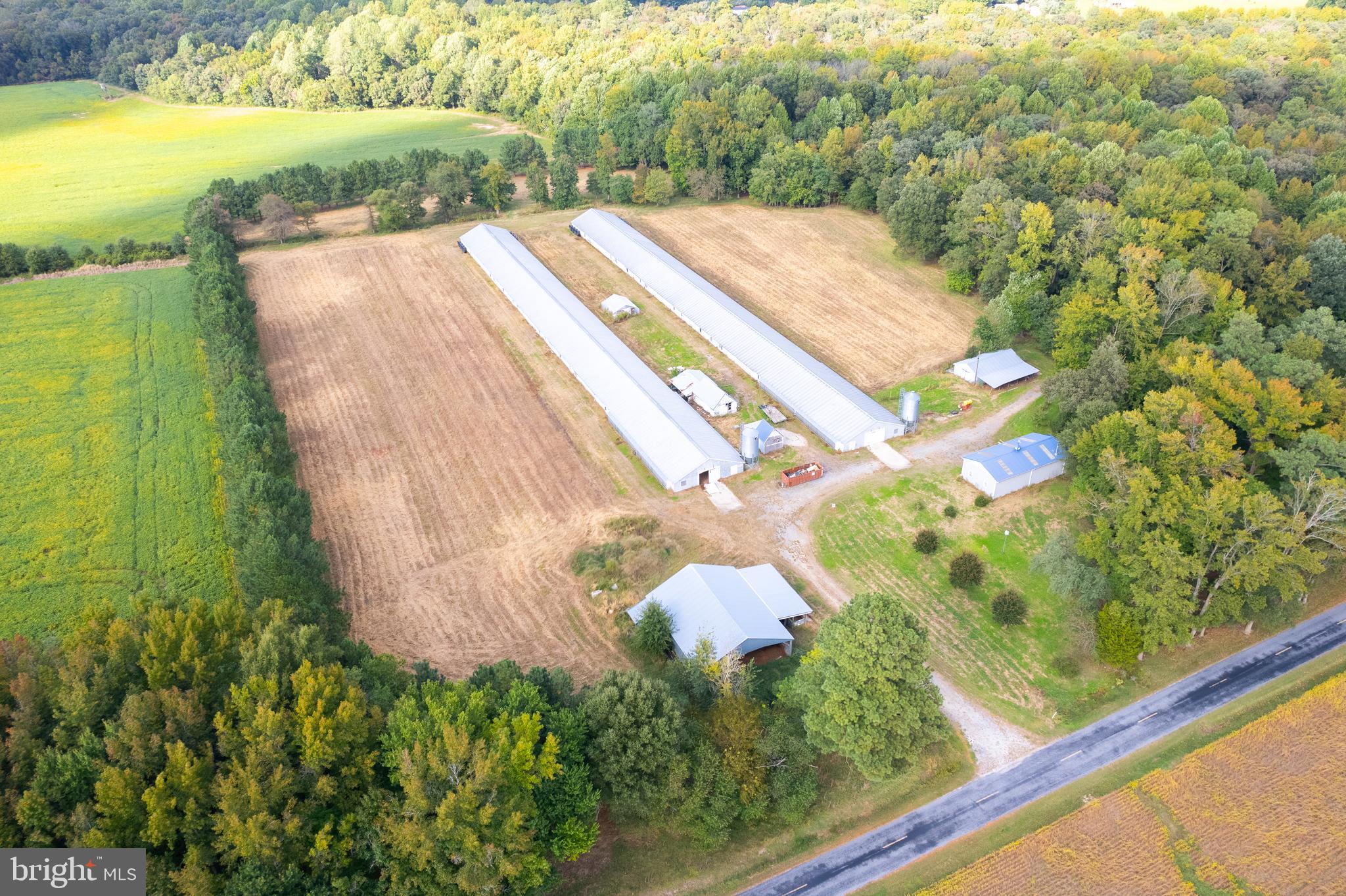 NONE AVAILABLE - Farm