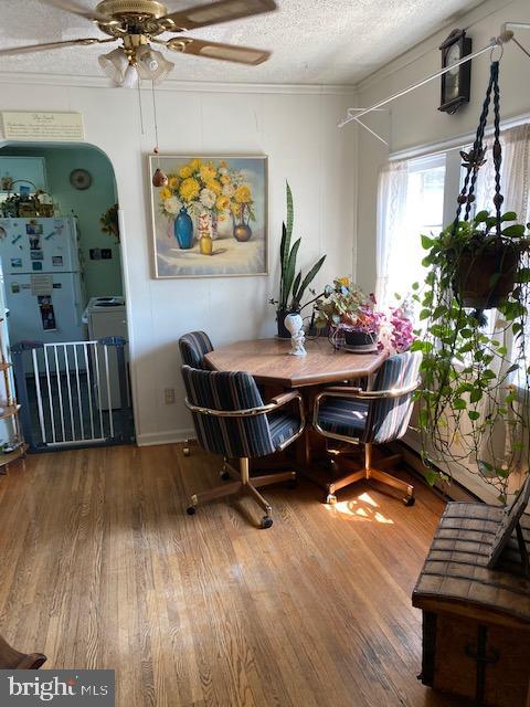 PENTONEY YOST - Residential