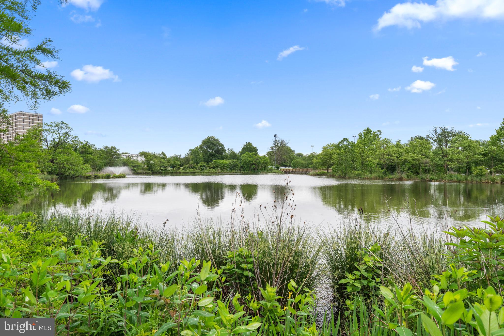 CAMERON STATION - Residential