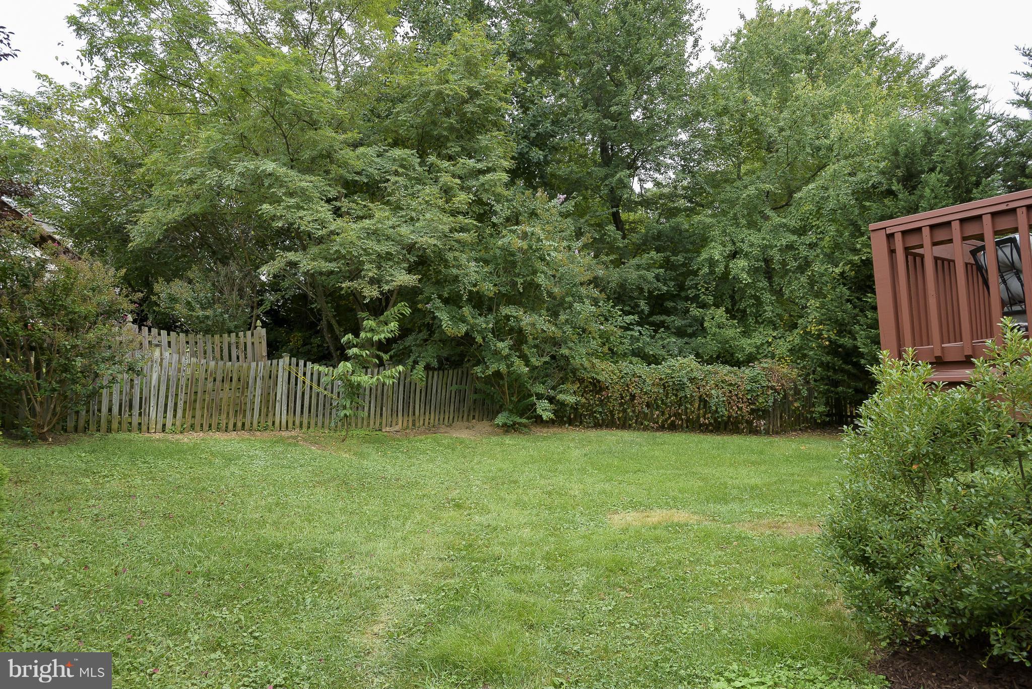 WILLIAMS KNOLL - Residential