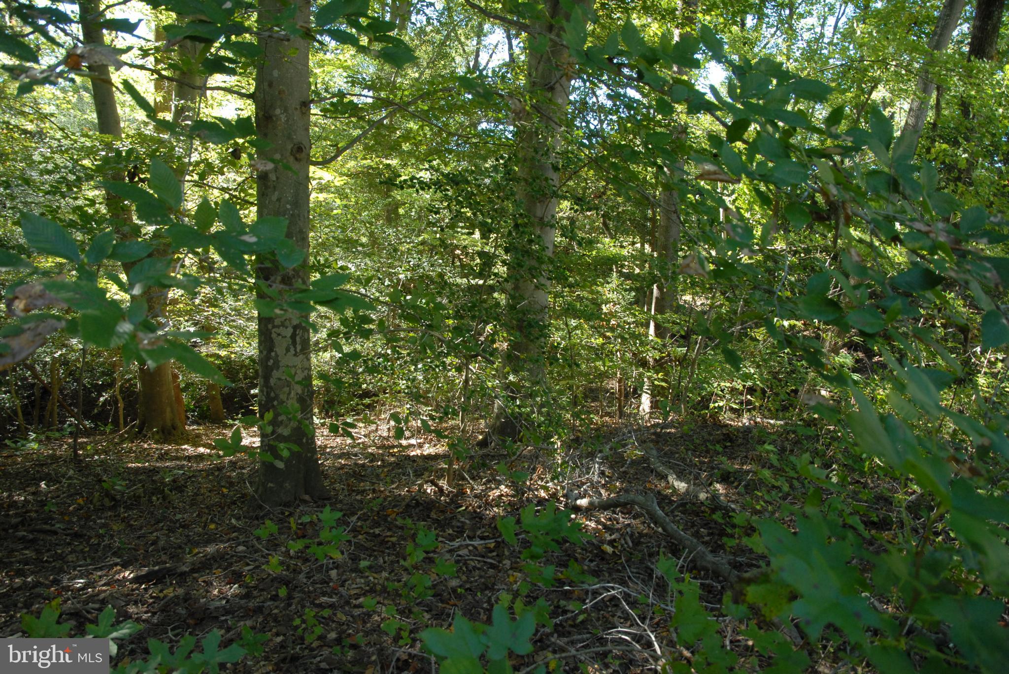 STRATFORD HARBOUR - Land