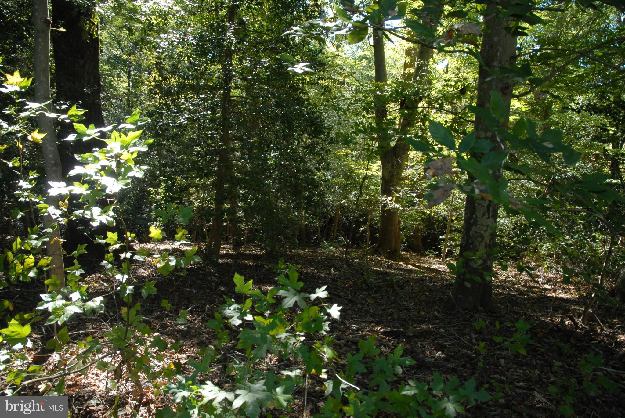 STRATFORD HARBOUR - Land