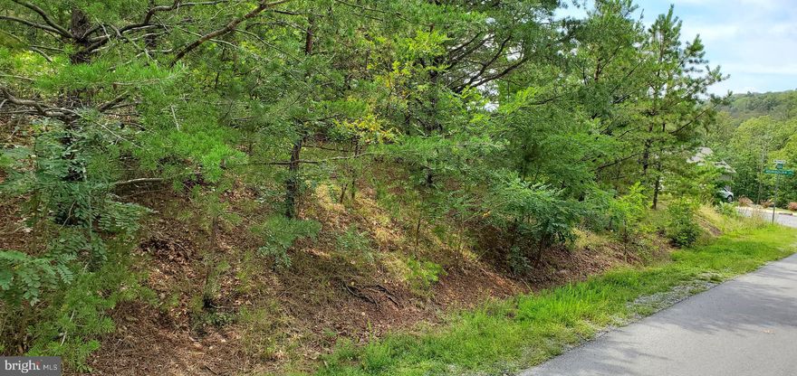 This exceptional property is nestled in a well-established community, offering a serene and natural setting. This future homesite provides an incredible backdrop of nature right at your doorstep.

Please note, when constructing your home, a grinder pump installation may be required.

An exclusive Class A FAMILY membership is available with this property with a $3,150 initiation fee. Annual club dues are $2,500.

It's important to mention that the Private Club Amenities are independently owned and operated, separate from the HOA, and their dues are not included in the HOA fees. These amenities include:

Golf (Greens Fees)
Driving Range, Chipping Green, and Putting Green
Indoor Sports Center (featuring racquetball, an indoor pool, gym, aerobics room, laundry facilities, sauna, steam room, whirlpool, volleyball, and indoor & outdoor tennis and basketball courts)
Shuffleboard and Pickleball
Two Outdoor Pools
Clubhouse and Club Room
Baseball Field and Playground
Fishing Ponds
Additionally, you can enjoy dining at The Clubhouse Grille & Pub and unwind at the Sleepy Creek Spa & Salon, both located onsite.