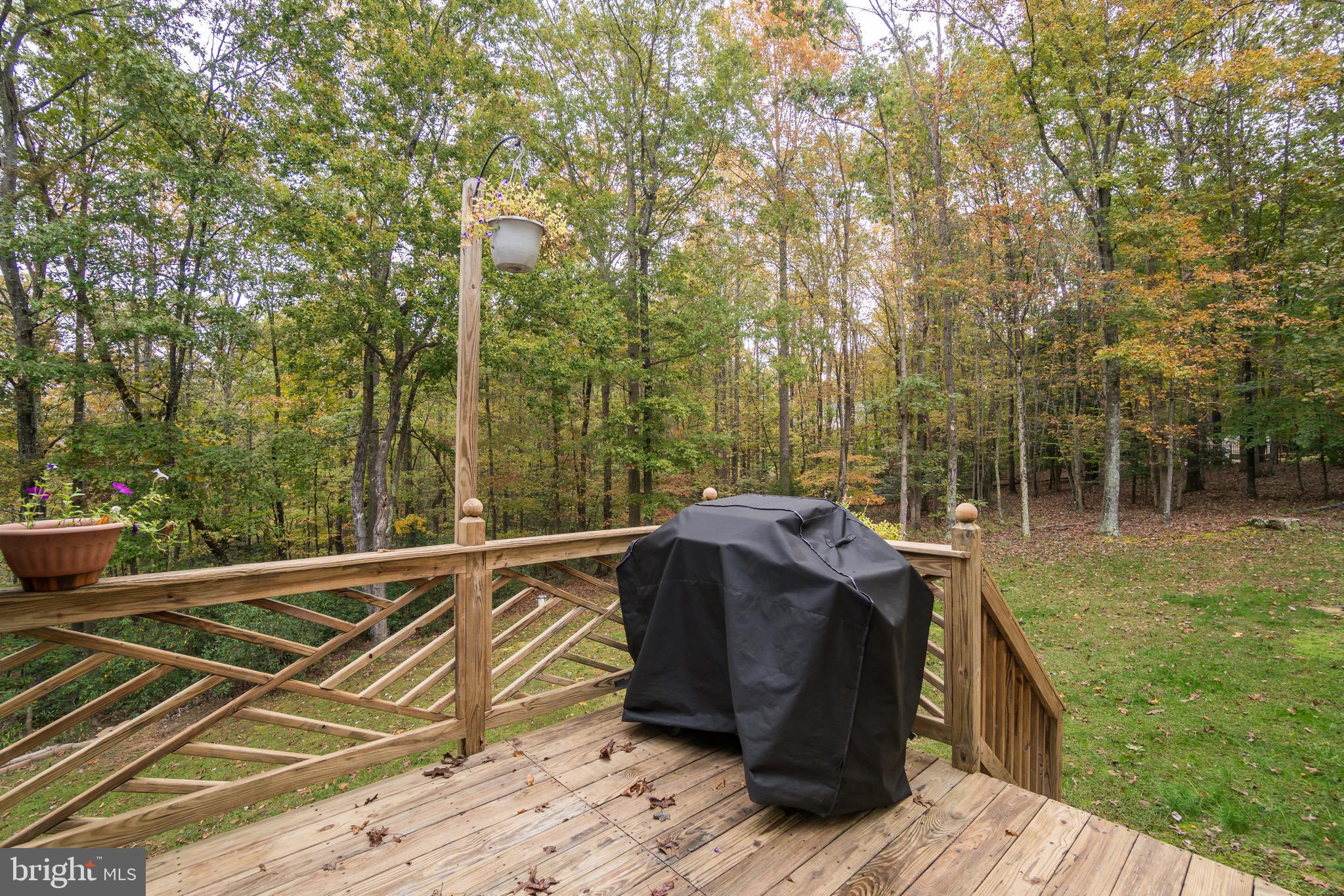 ESTATES OF CHANCELLORSVILLE - Residential