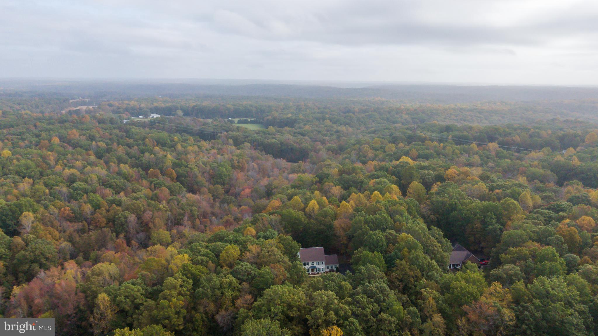 ESTATES OF CHANCELLORSVILLE - Residential