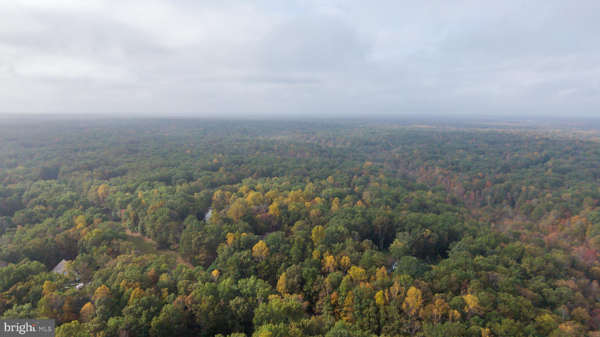 ESTATES OF CHANCELLORSVILLE - Residential