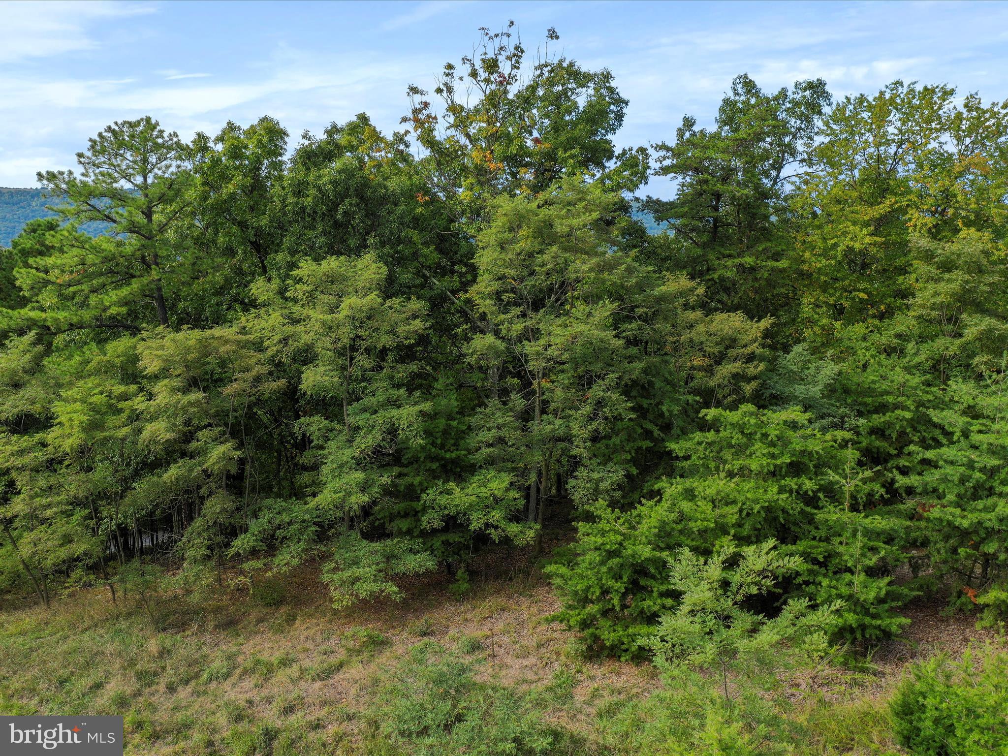 CARDINAL RIDGE ESTATES - Land