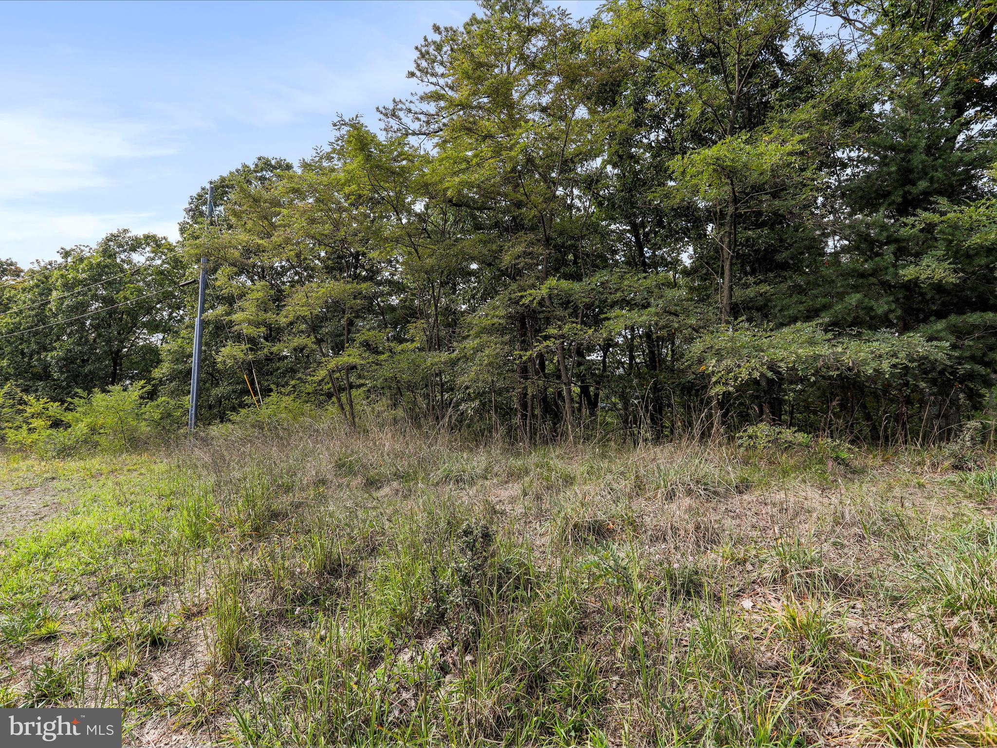 CARDINAL RIDGE ESTATES - Land