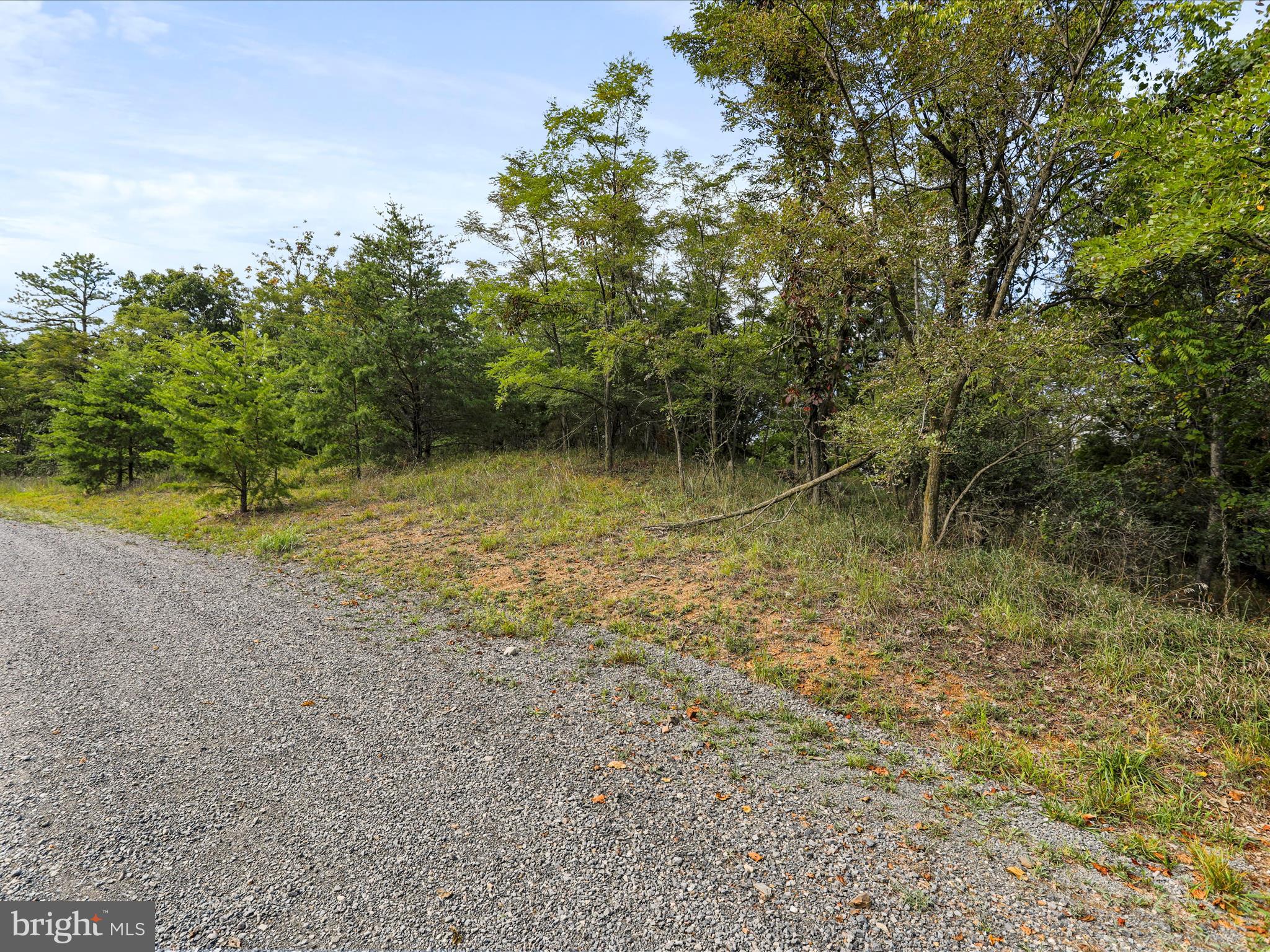 CARDINAL RIDGE ESTATES - Land