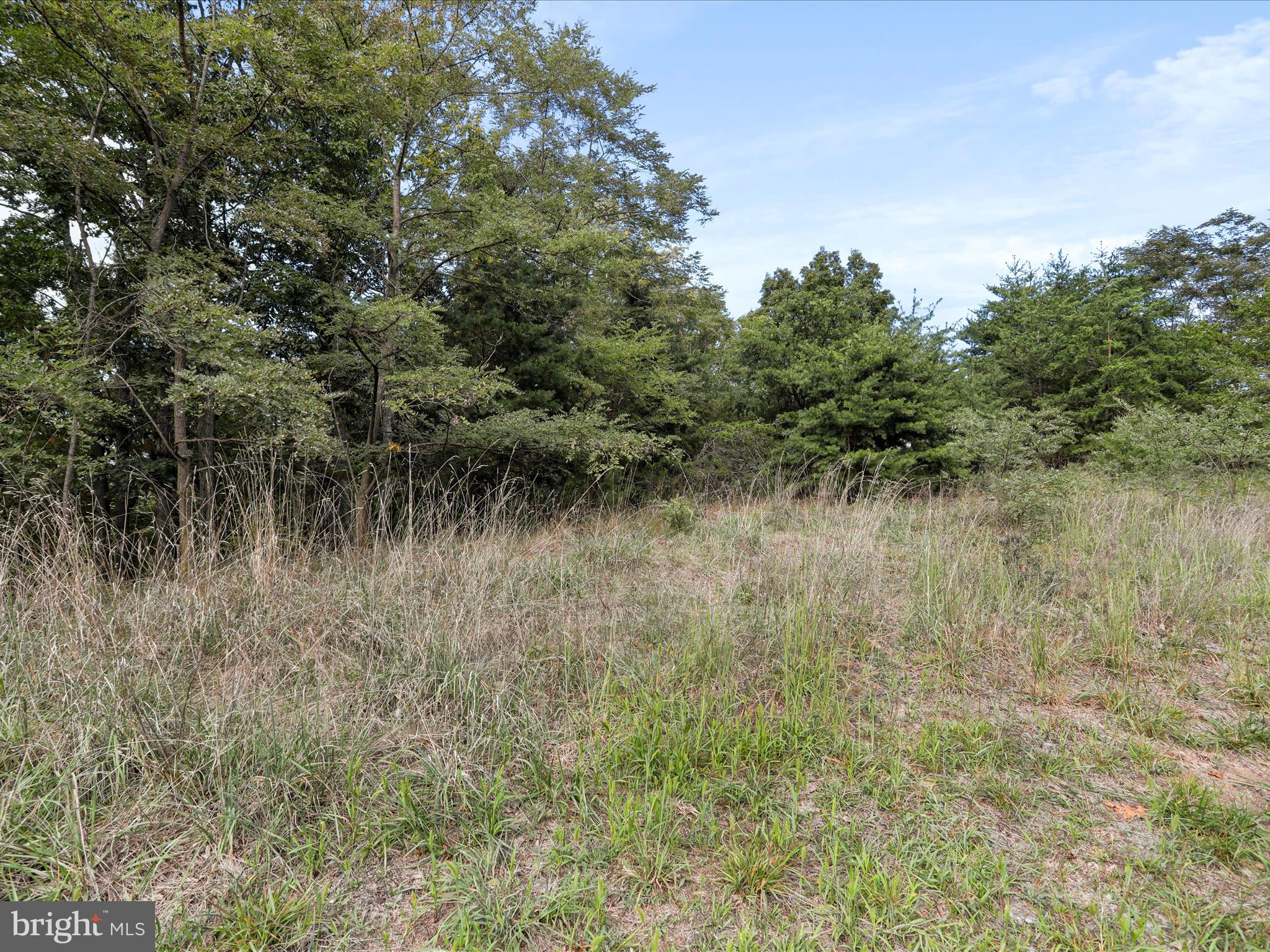 CARDINAL RIDGE ESTATES - Land