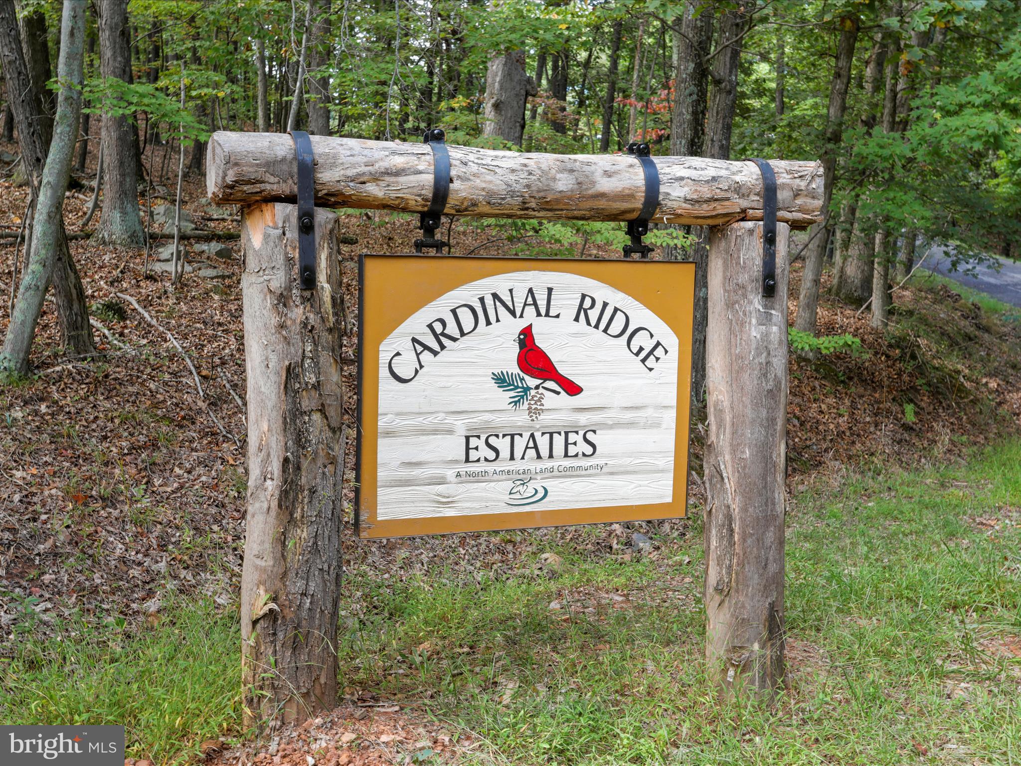 LOTS 5 & 13 CARDINAL RIDGE ESTATES