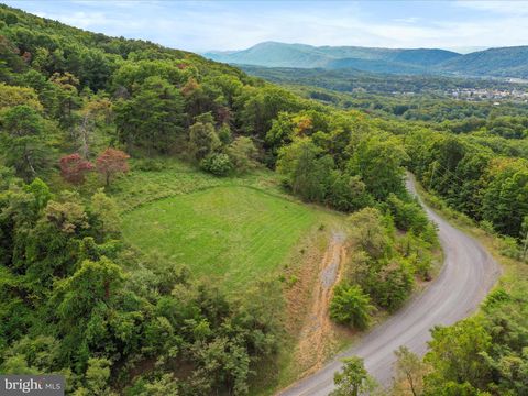 Vacant Land For Sale - Cardinal Ridge Estates<br/> ROMNEY, WV 26757